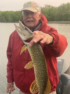 Pike fish caught on Tennessee River 